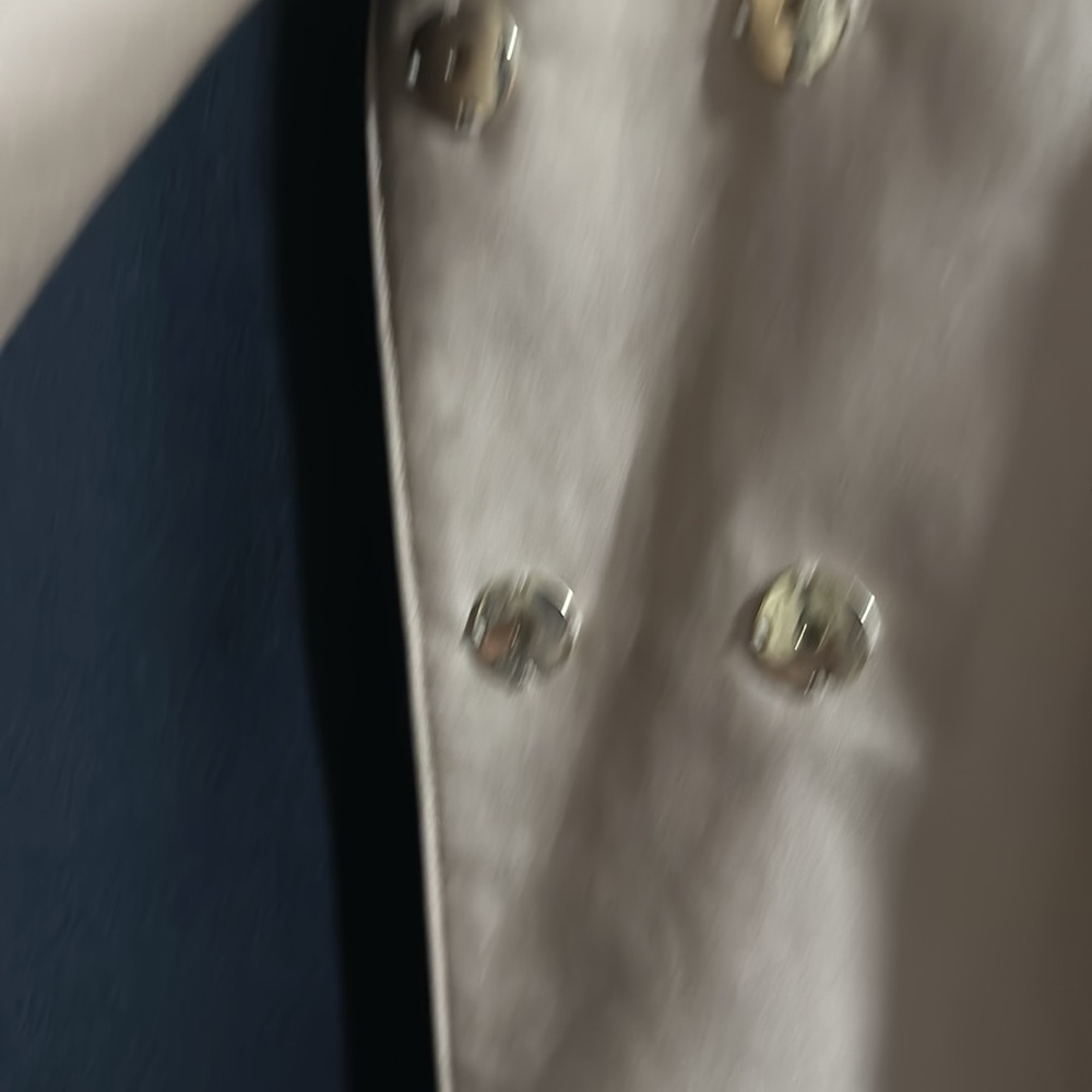 Zara Spring Coat - Picture 4 of 6